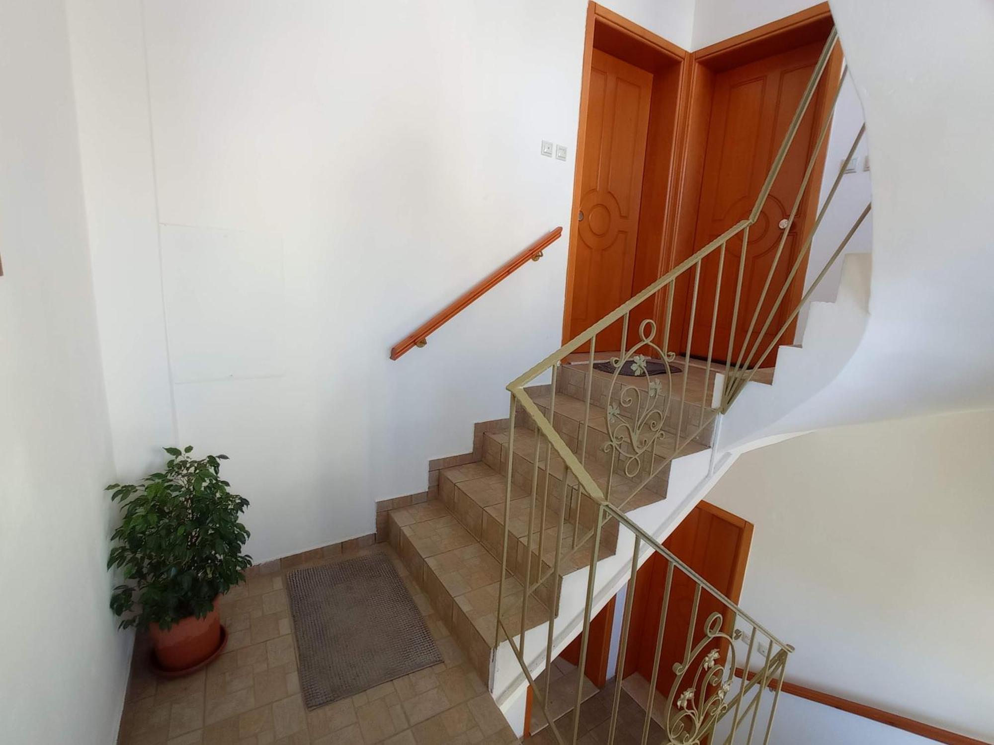 Tasos Seagull Apartments 干尼亞 外观 照片